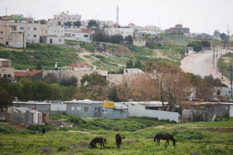 13 février 2016. Vue de la localité bédouine de Rahat, dans le sud d’Israël. (Photo : Nati Shohat/Flash90)