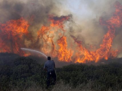 Un feu de broussailles dans le voisinage de la centrale électrique de Hadera, dans le nord d’Israël. Le pays connaît également de très nombreux incendies de forêt chaque année. (Photo : AFP)