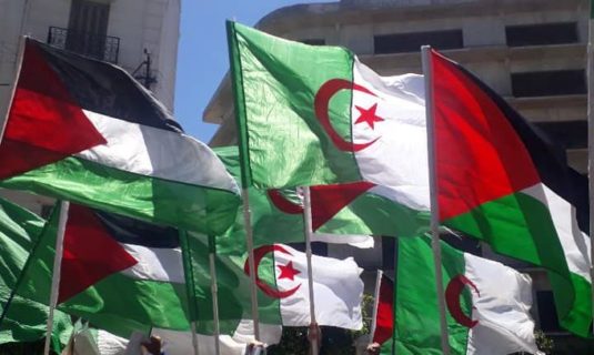 Drapeaux palestiniens et algériens unis : refus de reconnaître un Etat d'apartheid