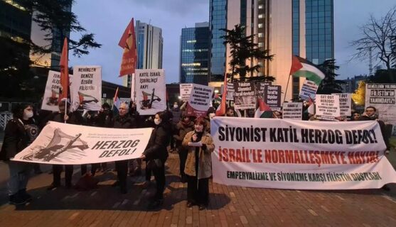Manifestation en Turquie. (Photo : Twitter @Filistindostu)