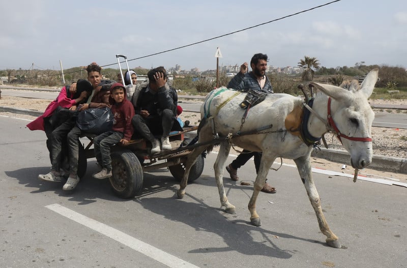 18 mars 2024. Des Palestiniens des alentours d'al-Shifa, à Gaza, sont forcés de fuir vers le sud de l'enclave. (Photo : Naaman Omar / APA images)