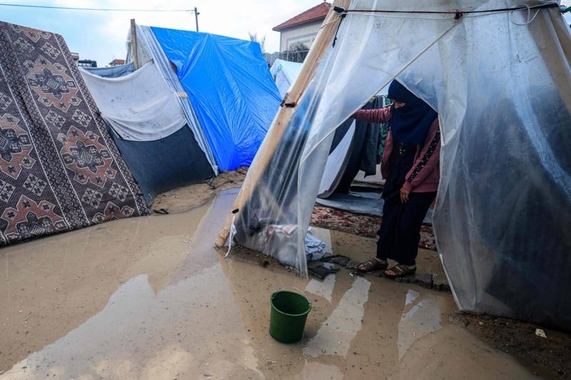 La crainte de la malaria s'intensifie à Rafah. Le surpeuplement des camps pour personnes déplacées et l'eau stagnante constituent un terrain fertile pour les moustiques et les maladies qu'ils provoquent. 
