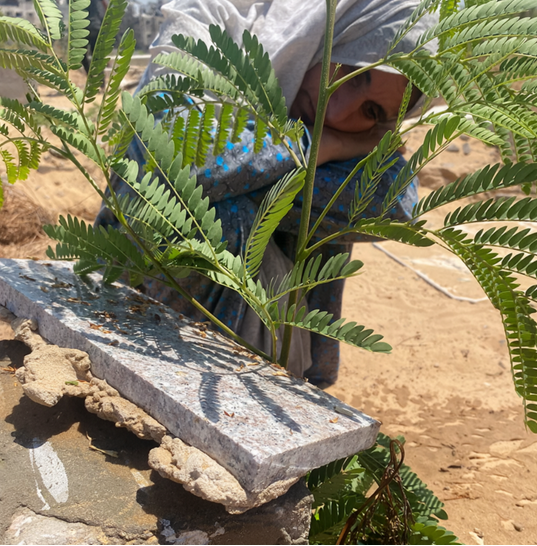 Nujoud al-Shish visite la tombe que ses filles Lana et Rana partagent à Beit Lahiya. Les filles avaient d'abord été enterrées à l'hôpital indonésien, mais on les a transférées ensuite au cimetière.