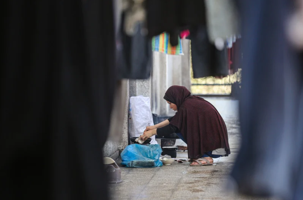 D'où viens-tu, à l'origine ? Photo :  Depuis le début du génocide orchestré par Israël, 625 000 écoliers sont privés d'enseignement. Les écoles, comme celle-ci à Deir al-Balah, sont désormais utilisées comme refuges pour les personnes déplacées