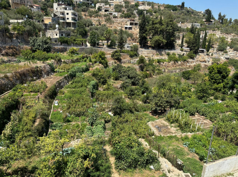 Le village palestinien de Battir désigné en 2014 comme un site du Patrimoine mondial de l'UNESCO.