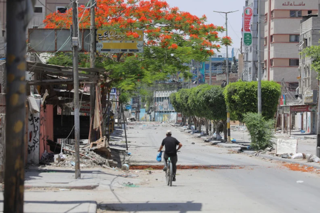 La terre combat, elle aussi. Photo : La beauté naturelle de Gaza finit toujours par ressurgir au milieu de la destruction semée par l'armée israélienne.