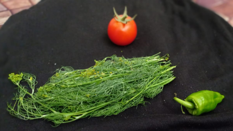 La salade du jardin suspendu repousse la faim et le génocide : Omar Abou Jalal, le frère de l'auteure, a créé un jardin sur son toit afin de se défendre contre la faim, et il y fait pousser tomates, poivrons, concombres, aubergines et même des herbes d'appoint tel l'aneth. 