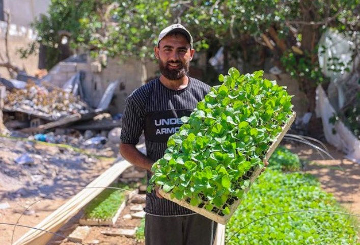 Yousef Abu Rabee, un fermier et producteur de nourriture, a été tué lundi par une frappe de drone à proximité de sa pépinière après qu'il avait livré des produits frais à des gens de Beit Lahiya, dans le nord de Gaza