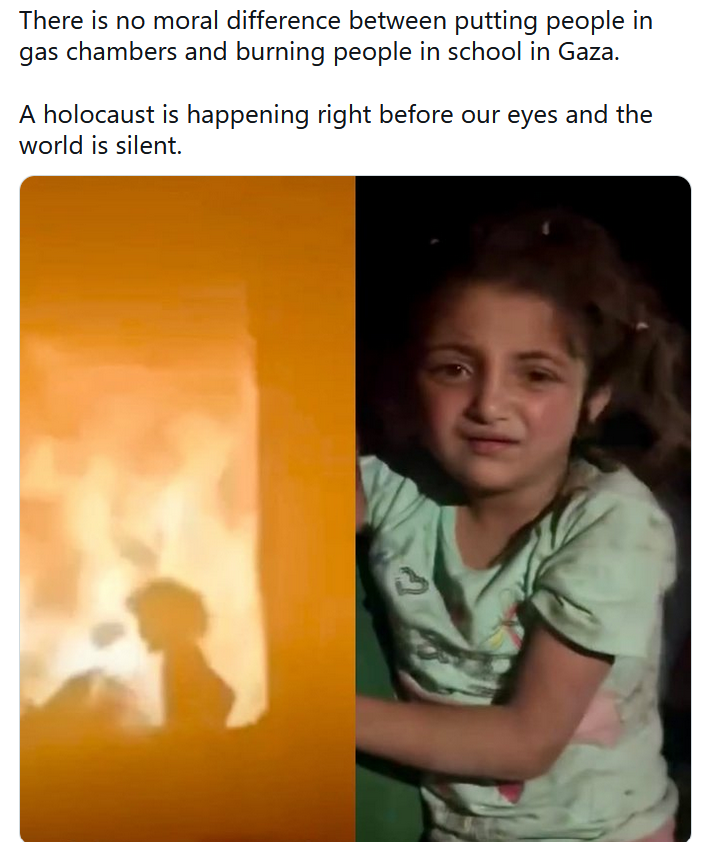 Il n'y a pas de différence morale entre mettre des gens dans des chambres à gaz et brûler des gens dans les écoles de Gaza. Un holocauste est en train de se dérouler sous nos yeux et le monde reste silencieux.