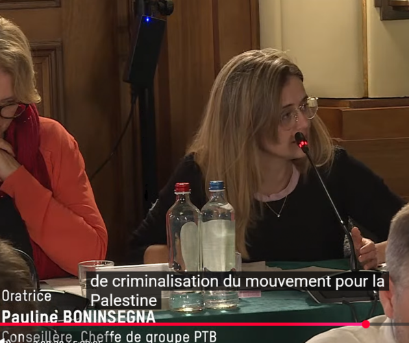 Capture d'écran de l'enregistrement vidéo de la séance du Conseil communal de Charleroi le 19 octobre 2026 (*)