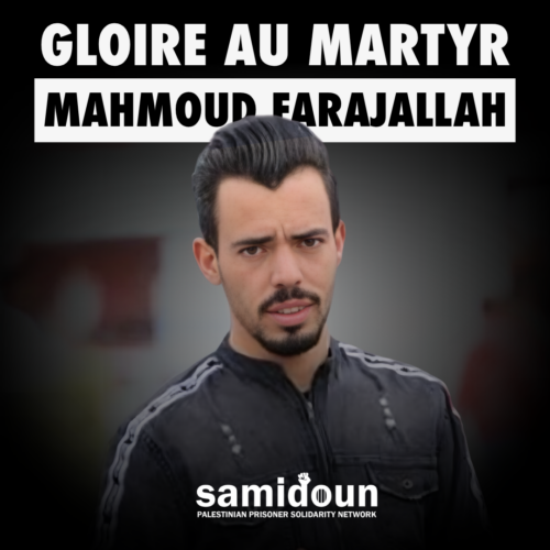 Gloire au martyr Mahmoud Farajallah